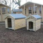Traditional Dog Kennel