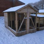 Double Apex Dog Hut
